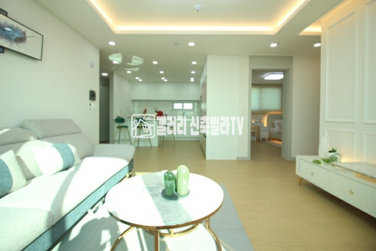 경기 수원권선구 세류동 수원역 , 대형신축오피시텔 , 최저실입가능 , 확트인거실 , 채광짱 분양 매물번호 11278 사진 5