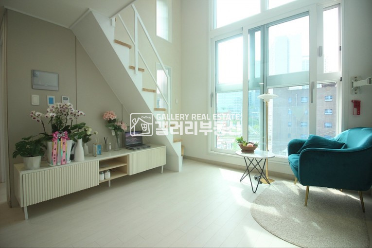 서울 금천구 독산동 101동 2개동 ~ 복층신축오피스텔 , 다양한구조 , 독산역 5분 , 방3화1 ,최저실입가능 분양 매물번호 11593 사진 3